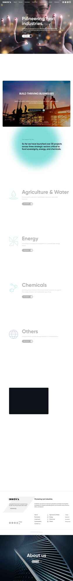Schermafbeelding innovx.com