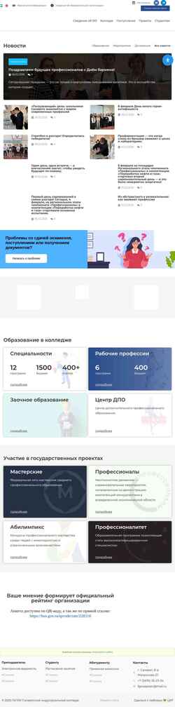Screenshot salinc.ru