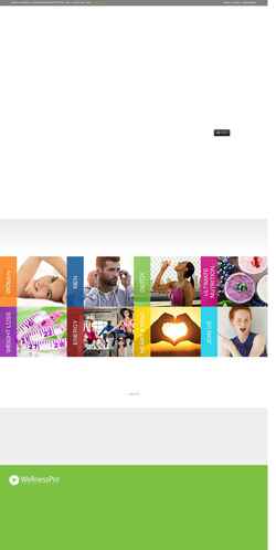 Schermata wellnesspro.com
