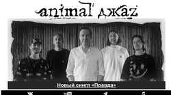 Snímka obrazovky animaljazz.com
