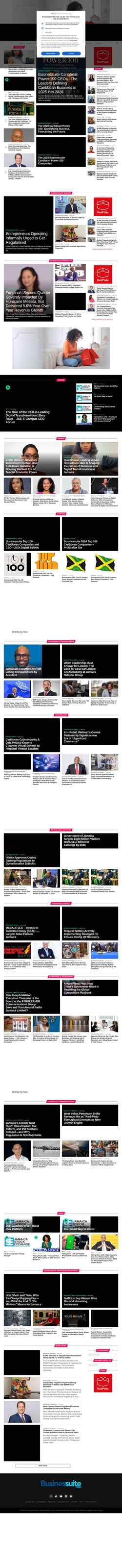 Snímek obrazovky businessuiteonline.com