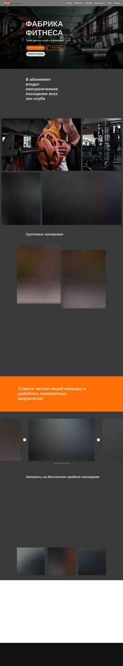 Screenshot fabfit.ru