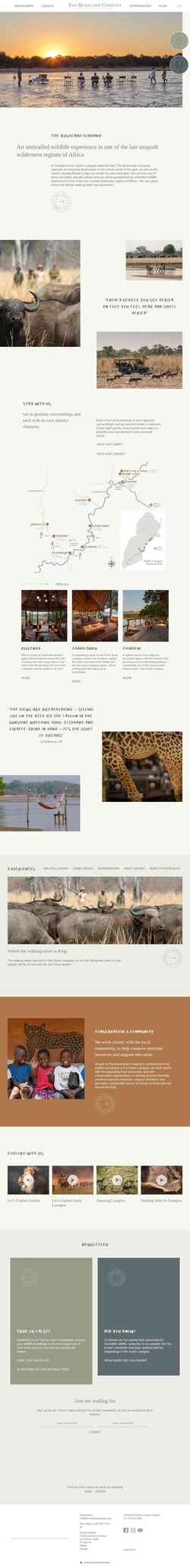Screenshot bushcampcompany.com