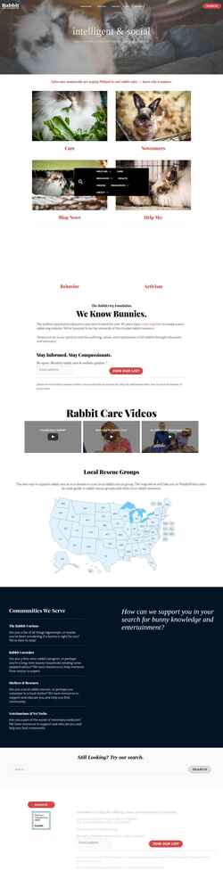 Ekran görüntüsü rabbit.org
