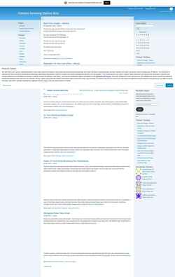 Captura de pantalla servas.wordpress.com