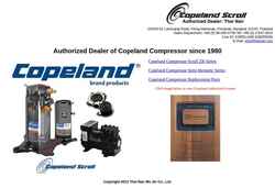 Schermata copeland.thainair.com