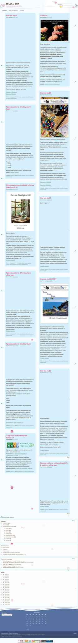 Screenshot haiku-do.com