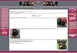 Снимак екрана rottweiler.ucoz.ru