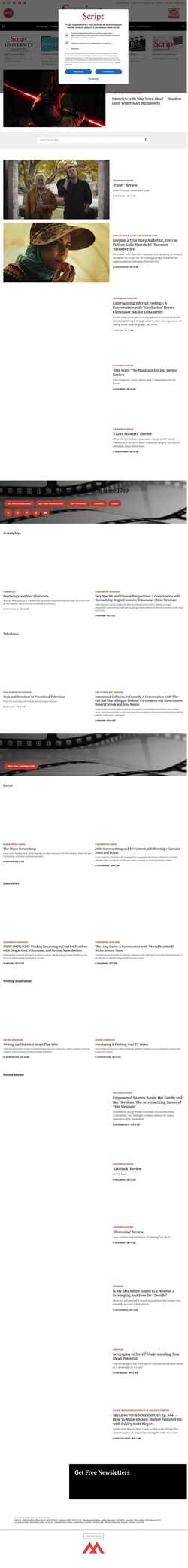Ekran görüntüsü scriptmag.com
