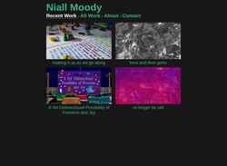 Screenshot niallmoody.com