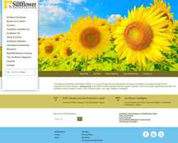 Captura de pantalla sunflowernsa.com