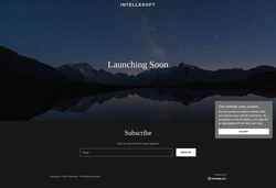 スクリーンショット intellesoft.net