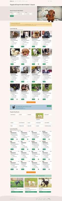 Schermata dogs.ie