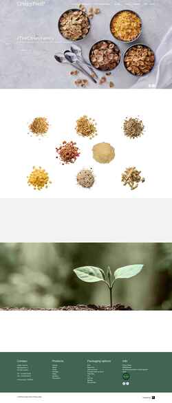Posnetek zaslona crispyfood.com