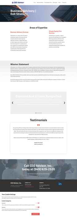 Captura de pantalla ceoadvisor.com