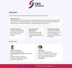 Screenshot ceoconsulting.net
