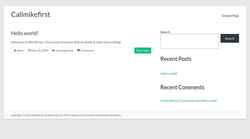 Screenshot callmikefirst.com