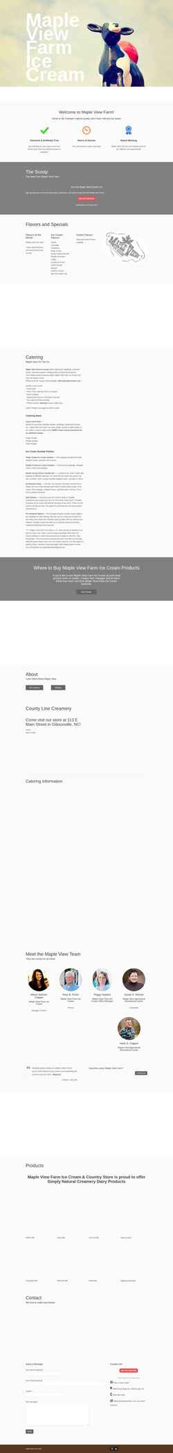 Screenshot mapleviewfarm.com