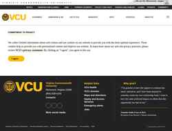 Captura de pantalla chemistry.vcu.edu