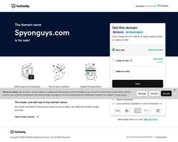 Posnetek zaslona spyonguys.com