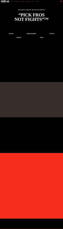 Screenshot frolab.com