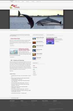 Skærmbillede easttimorpress.com
