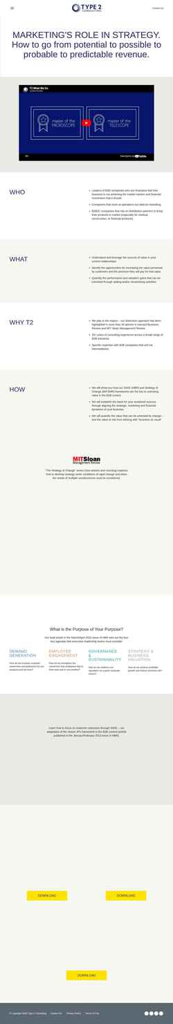 Screenshot type2consulting.com