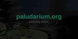 Captura de pantalla paludarium.org