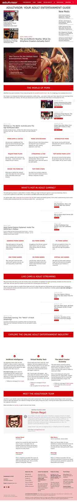 Captură de ecran adultvisor.com