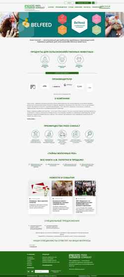 Skjermdump feedconsult.ru