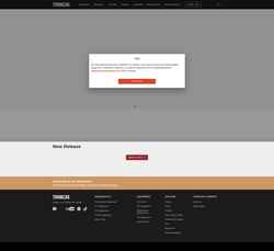 Schermafbeelding thinkcar.com