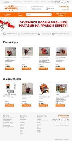 Posnetek zaslona drovosek24.ru