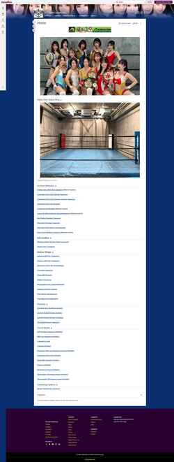 Ekran görüntüsü pro-style-catfight.fandom.com