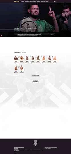 Screenshot aca-mma.com
