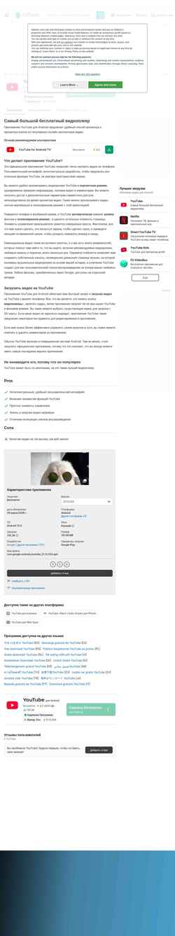 Skjermdump youtube.softonic.ru