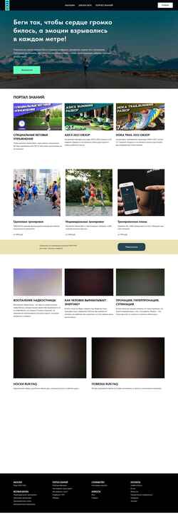 Captura de pantalla runfaq.ru