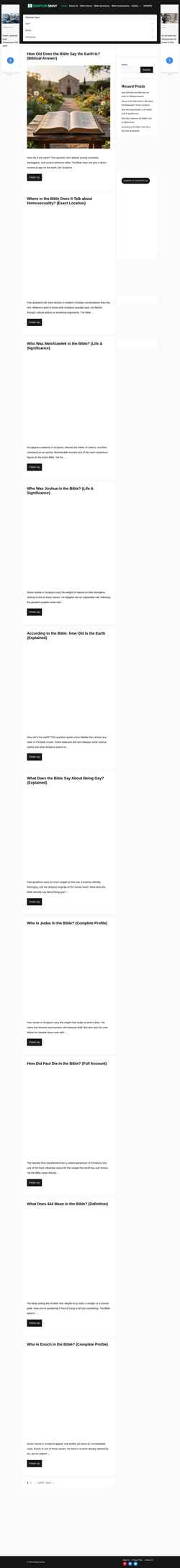 Skärmdump scripturesavvy.com