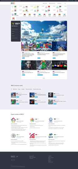 Schermata infobrics.org