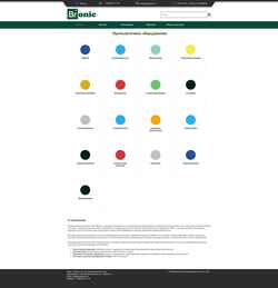Screenshot bronic.ru