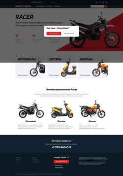 Skærmbillede racer-motors.com