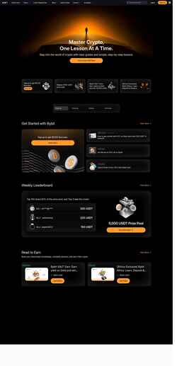 Captură de ecran learn.bybit-global.com