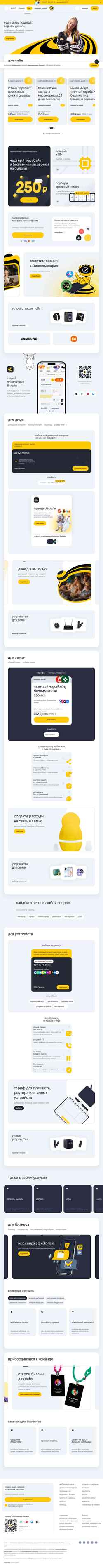 Screenshot balashov.beeline.ru