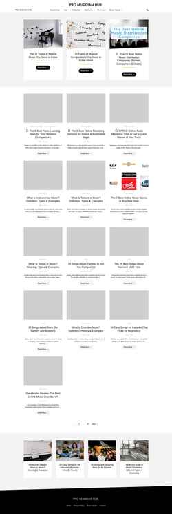 Schermafbeelding promusicianhub.com