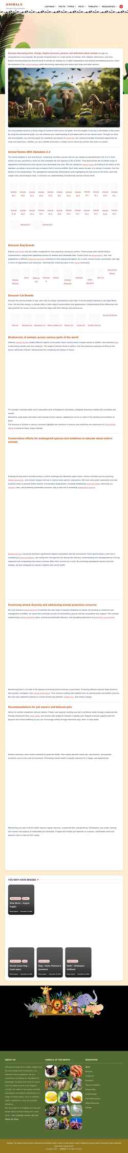 截屏 animals.in.net