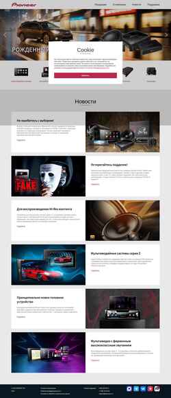 Screenshot pioneerrus.ru