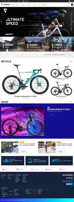 Snimka zaslona giant.com.cn