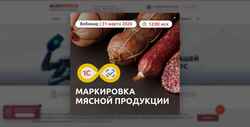 Screenshot alexrovich.ru