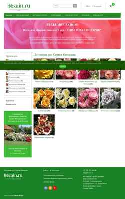 Screenshot rozain.ru