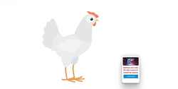 Posnetek zaslona hn-int.com