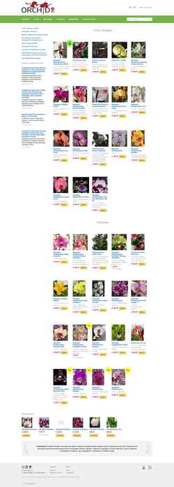 Captura de pantalla orchid22.ru